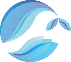 Logo Baltica Cargo - Ekogroszek